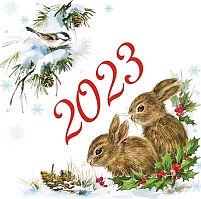Поздравляем с наступающим Новым 2023 Годом!